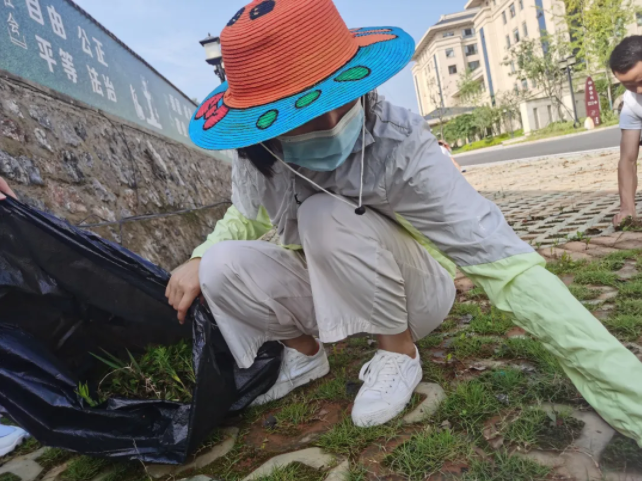 QQ截图20200802092303.png