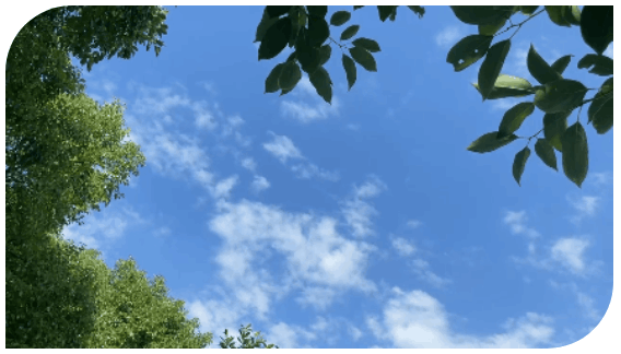 微信截图_20210923154026.png