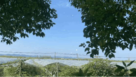 微信截图_20210923154226.png